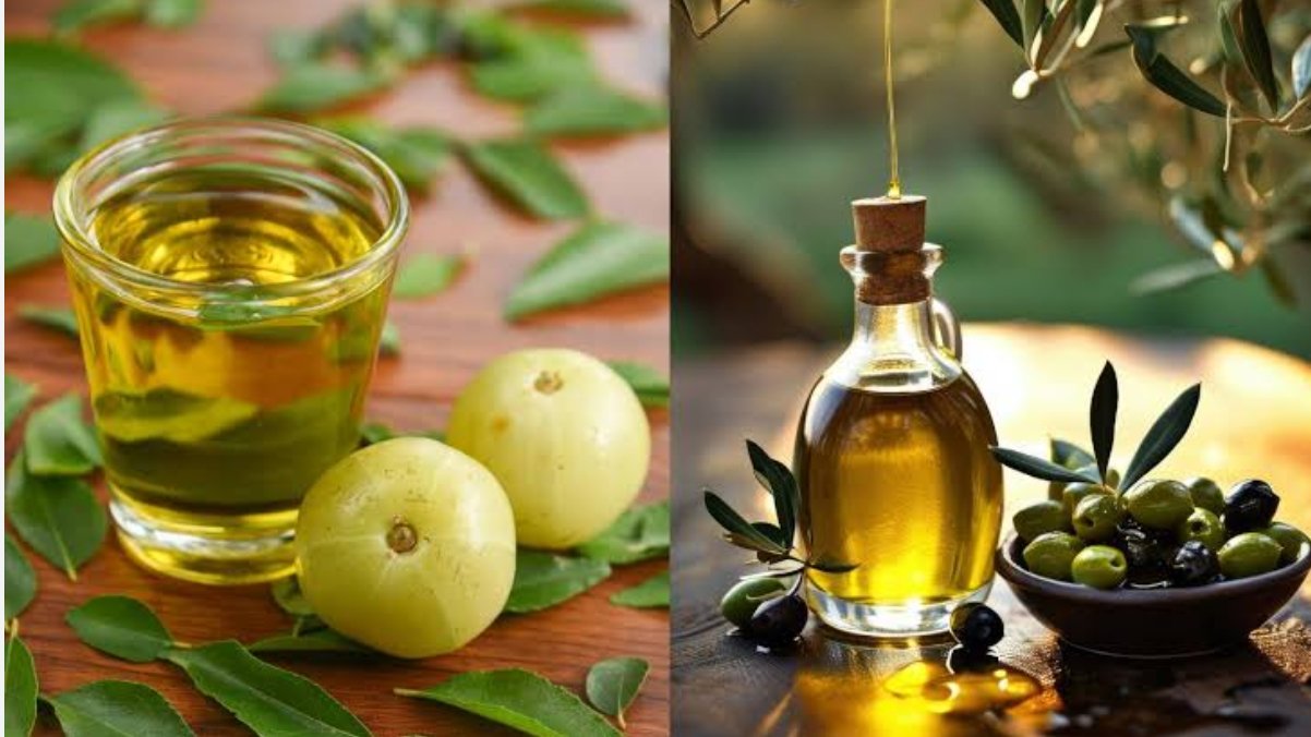 Amla Oil Benefits for hair