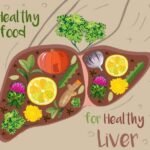 Top 10 Liver Friendly Diet: for a Healthier Liver Liver Friendly Diet