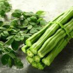 Moringa Health
