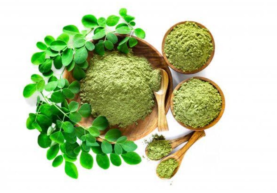 Benefits of Moringa Leaf Powder
