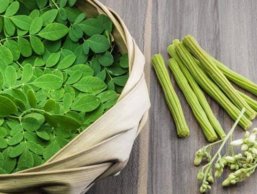 Is Moringa Powder Good for Health