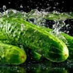 Top 12 Health Benefits of Cucumber Health Benefits of Cucumber
