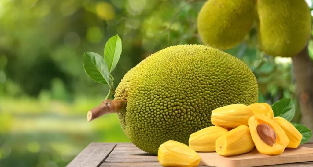 Health Benefits of Jackfruit