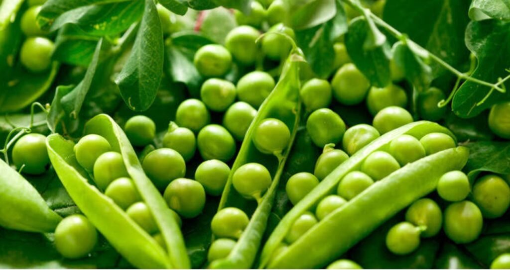 Benefits of Green Peas