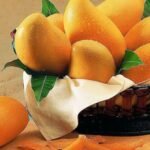 Benefits of Mango