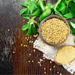Benefits of Fenugreek