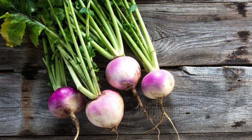 Health Benefits of Turnip