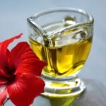 Hibiscus Oil