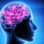 Japanese Tips To Improve Brain Power