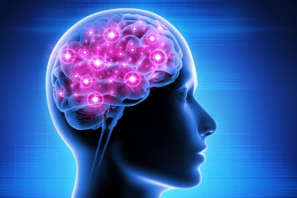 Japanese Tips To Improve Brain Power